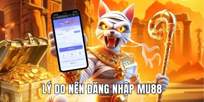 Lý do nên truy cập hệ thống nhà cái giải trí online